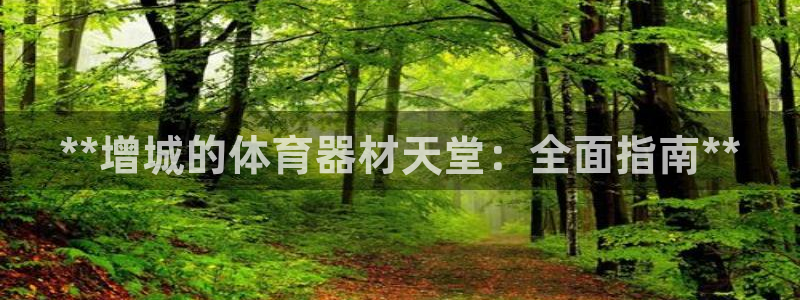 耀世平台代理怎么做：**增城的体育器材天堂：全面指南