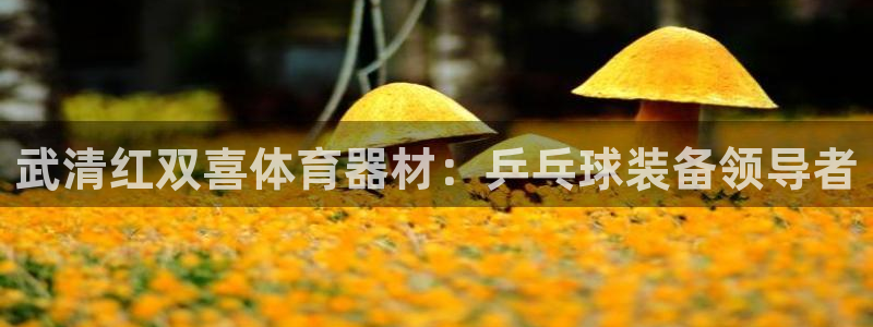 耀世成语：武清红双喜体育器材：乒乓球装备领导者