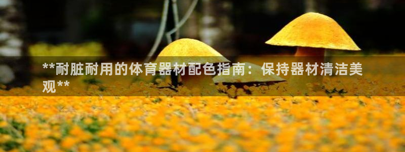 耀世娱乐老板是谁：**耐脏耐用的体育器材配色指南：保