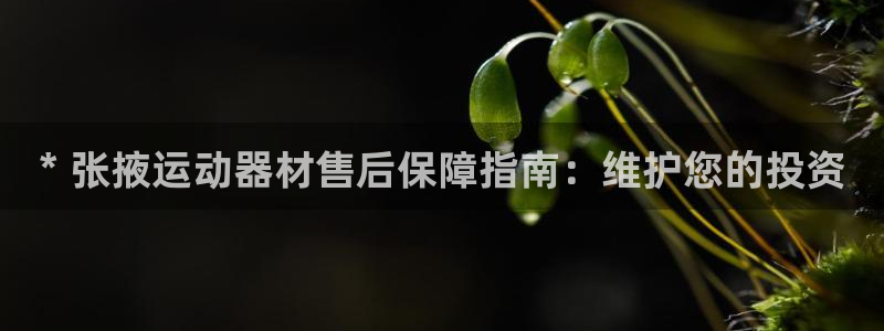 耀世挑战第三关怎么打：* 张掖运动器材售后保障指南：