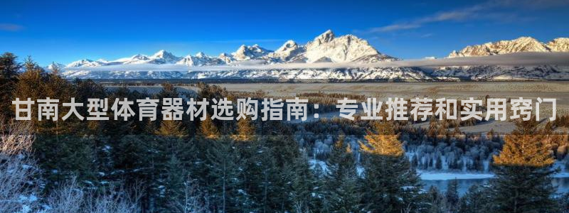 耀世娱乐返点多少钱：甘南大型体育器材选购指南：专业推