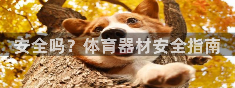 耀世天下的微信名字好吗：安全吗？体育器材安全指南