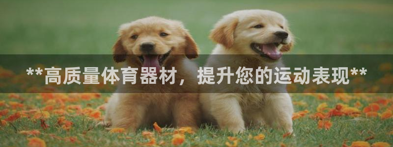 耀世集团董事长抖音是谁：**高质量体育器材，提升您的