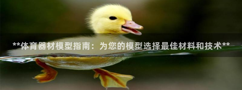 耀世平台告7O777：**体育器材模型指南：为您的模