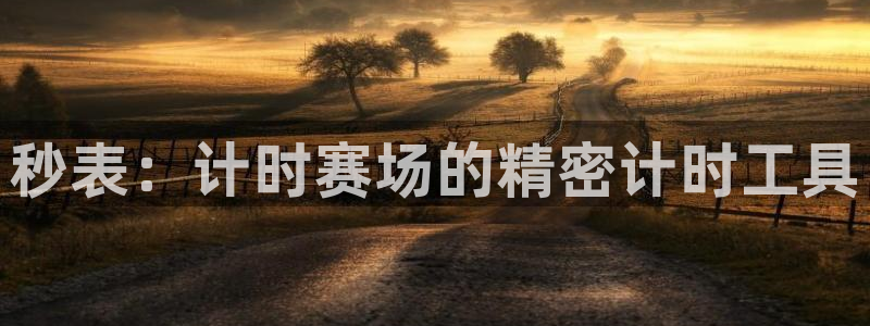 耀世娱乐是什么平台：秒表：计时赛场的精密计时工具