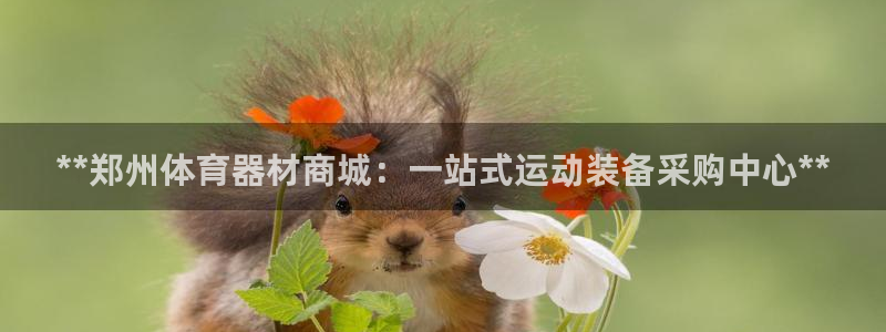 耀世来袭什么意思：**郑州体育器材商城：一站式运动装