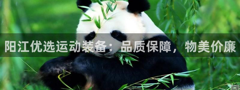 耀世登场的图片：阳江优选运动装备：品质保障，物美价廉