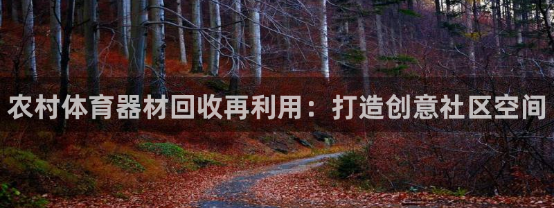耀世集团罗文斌：农村体育器材回收再利用：打造创意社区