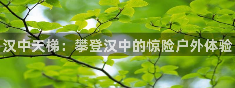 耀世集团是什么电影院：汉中天梯：攀登汉中的惊险户外体