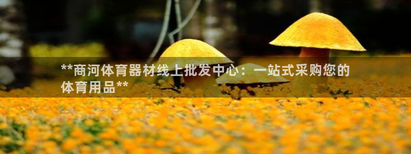 耀世登场的意思：**商河体育器材线上批发中心：一站式