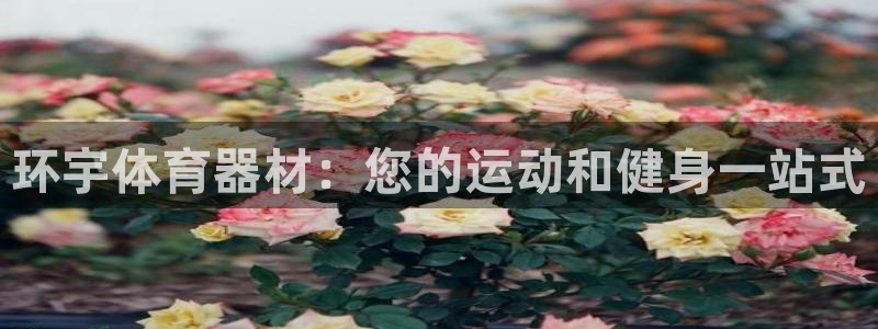 耀世娱乐出款快吗是真的吗：环宇体育器材：您的运动和健