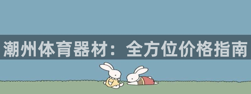 耀世圣主：潮州体育器材：全方位价格指南