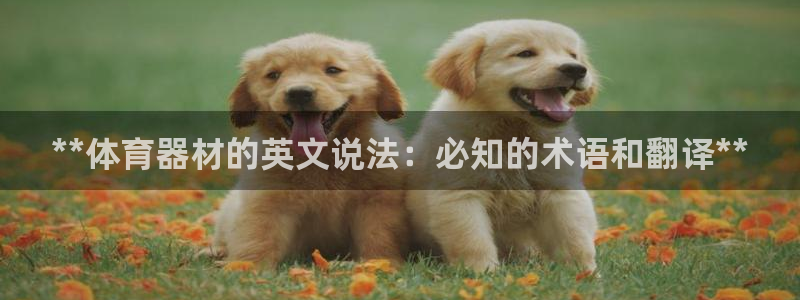 耀世娱乐能提现吗现在多少钱：**体育器材的英文说法：