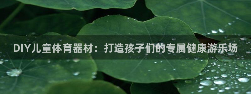 耀世平台总代理:DIY儿童体育器材:打造孩子们的专属健康游乐