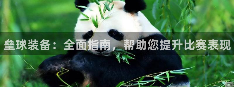 耀世娱乐提现失败原因：垒球装备：全面指南，帮助您提升