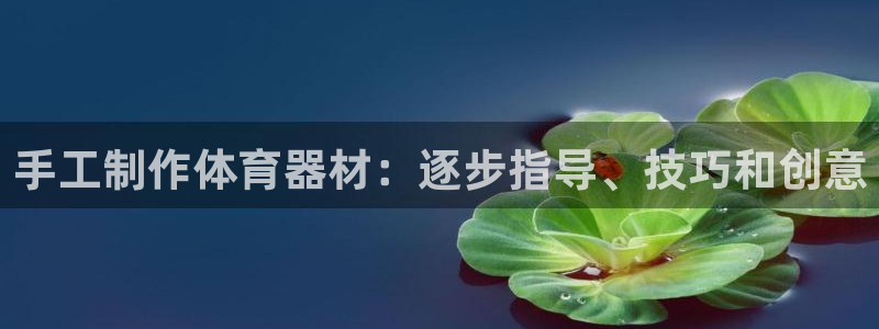 耀世娱乐间7O777：手工制作体育器材：逐步指导、技