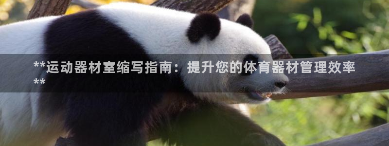 耀世第二关：**运动器材室缩写指南：提升您的体育器材