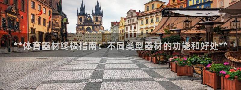 耀世意思是什么：**体育器材终极指南：不同类型器材的