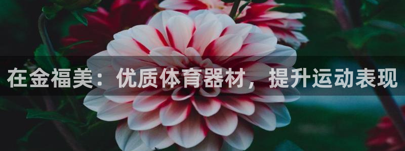 耀世平台最新注册地址是哪里的：在金福美：优质体育器材