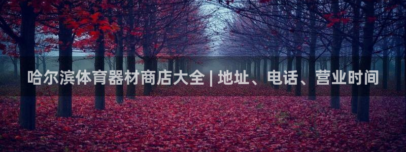 耀世平台合作 585341：哈尔滨体育器材商店大全 