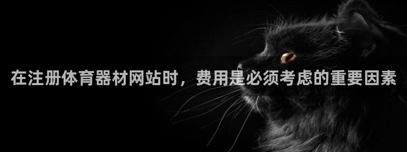 耀世挑战怎么过：在注册体育器材网站时，费用是必须考虑
